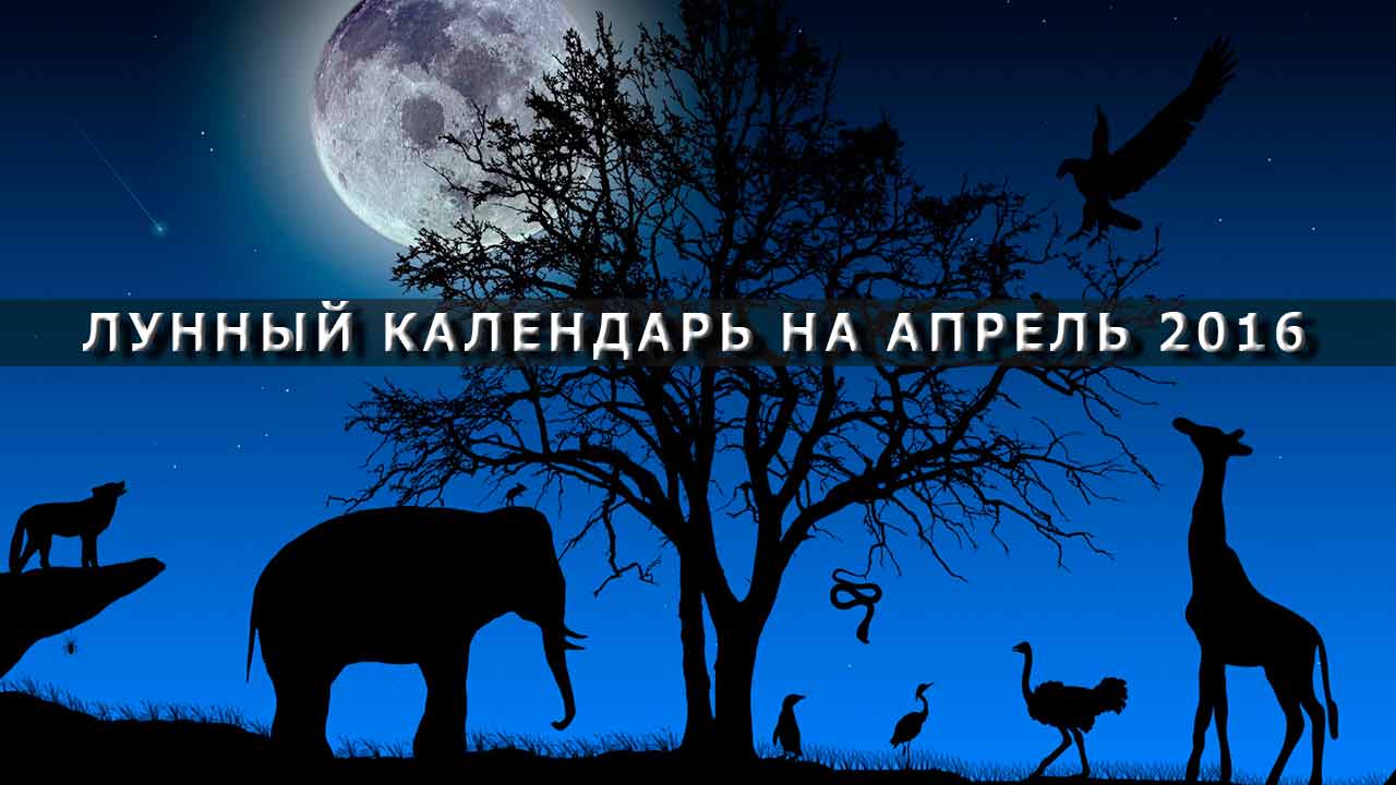 Показать выходные и праздничные дни в 2017 году